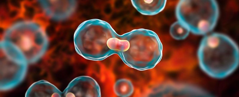 Shenjat e hershme të kancerit që nuk duhet t’i injoroni Shenjat e hershme të kancerit që nuk duhet t’i injoroni