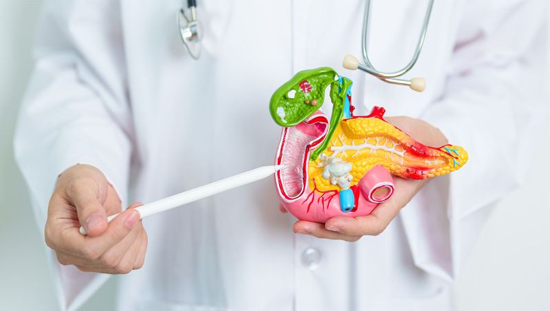 Tumori në papilla Vateri: Çfarë është, si diagnostikohet dhe cilat janë opsionet e trajtimit në Turqi Tumori në papilla Vateri: Çfarë është, si diagnostikohet dhe cilat janë opsionet e trajtimit në Turqi